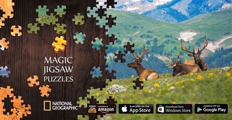 Solving Puzzles Like Never Before with the Magical Puzzle Booster